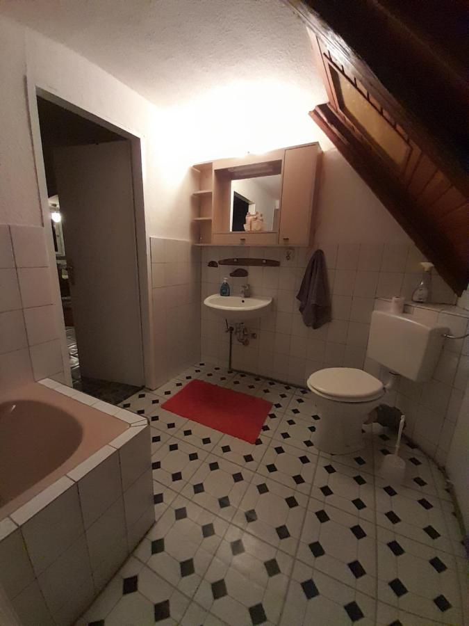 Ferienwohnung Why Not Polle Bagian luar foto