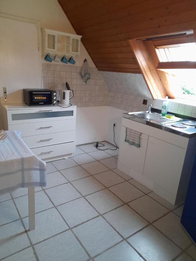 Ferienwohnung Why Not Polle Bagian luar foto